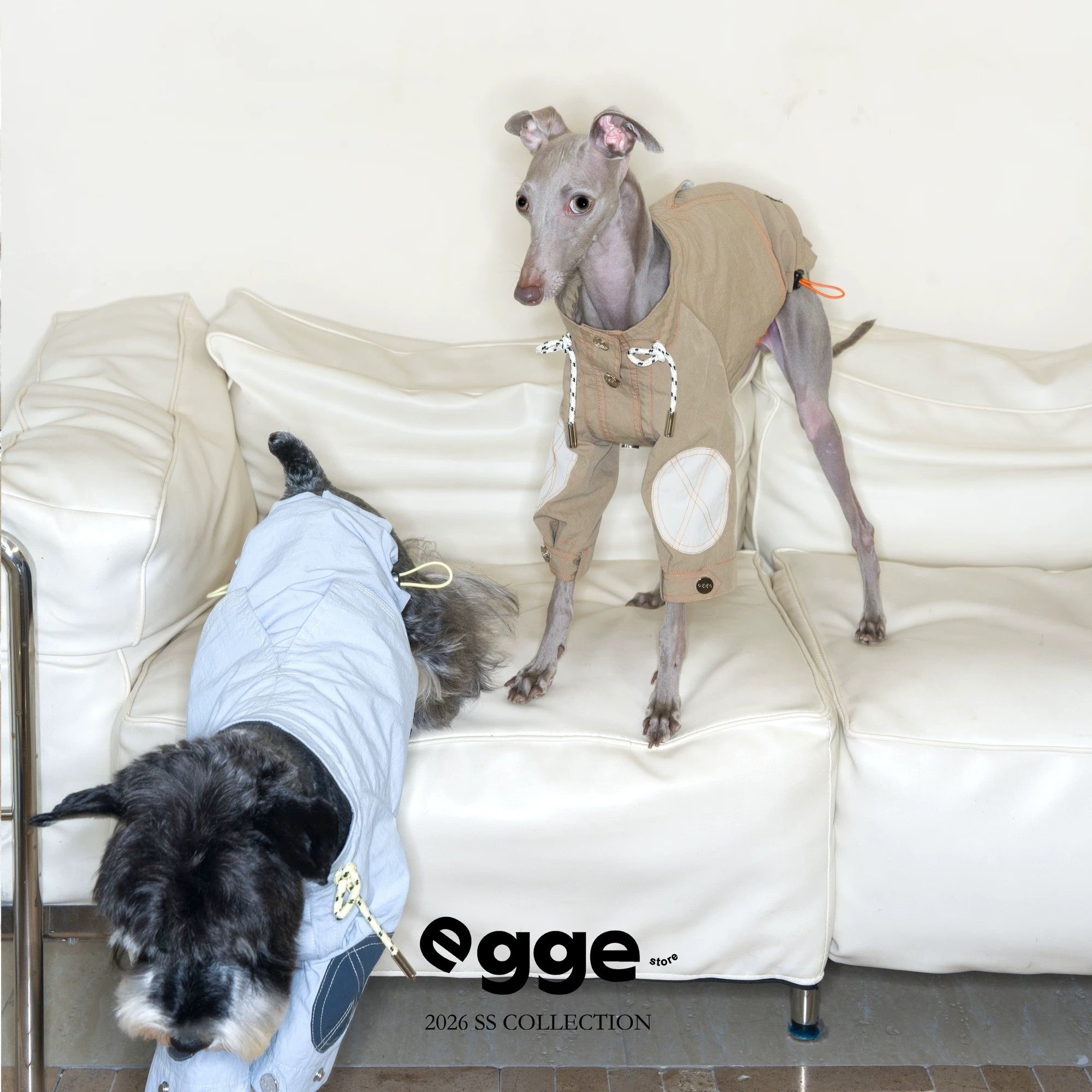 Breathable Waterproof Pet Windbreaker Jacket