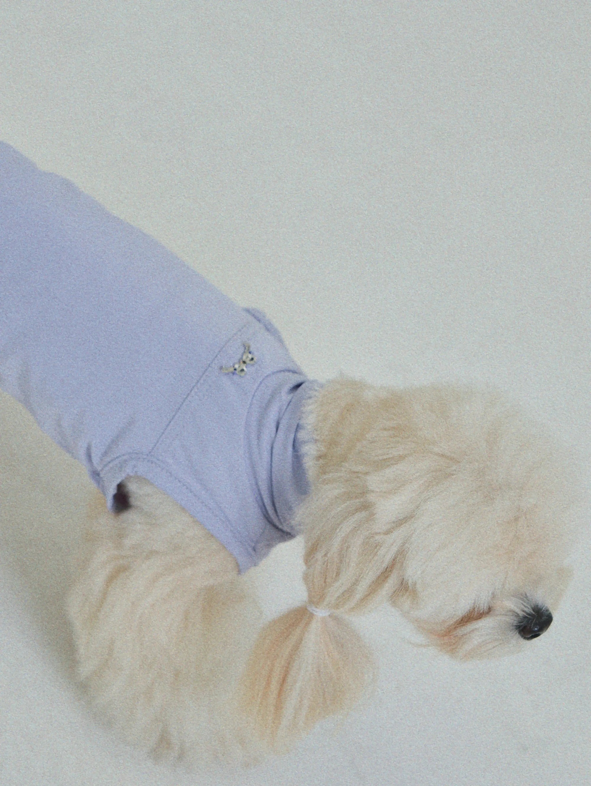 Lilac Bunny Dog Cooling Hat