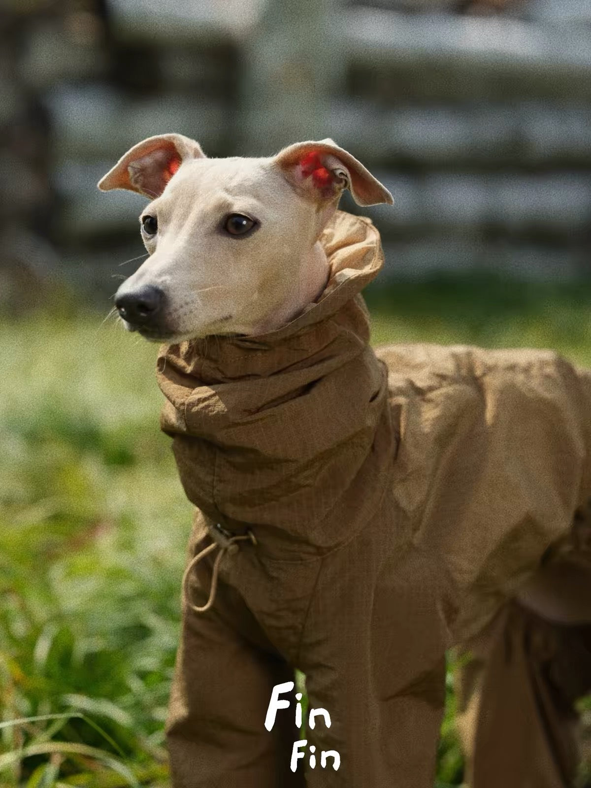 Mountain Reversible Waterproof Raincoat