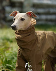 Mountain Reversible Waterproof Raincoat