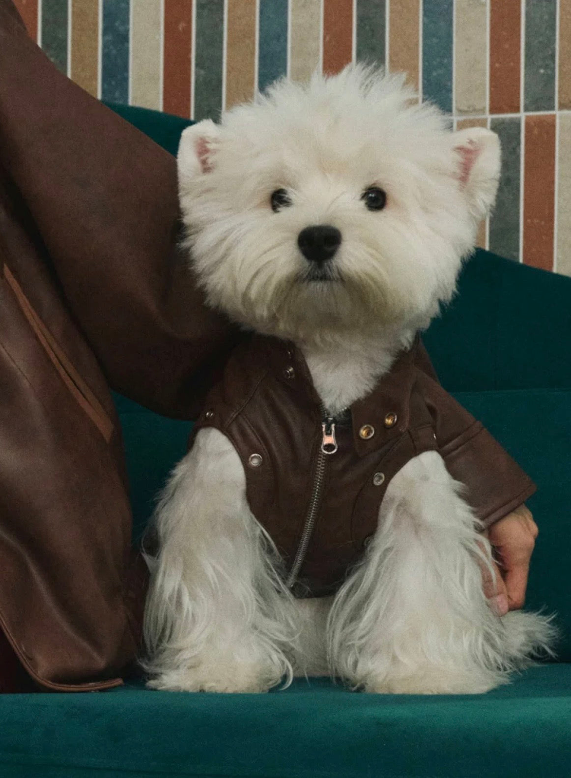 Caramel Macchiato Vest