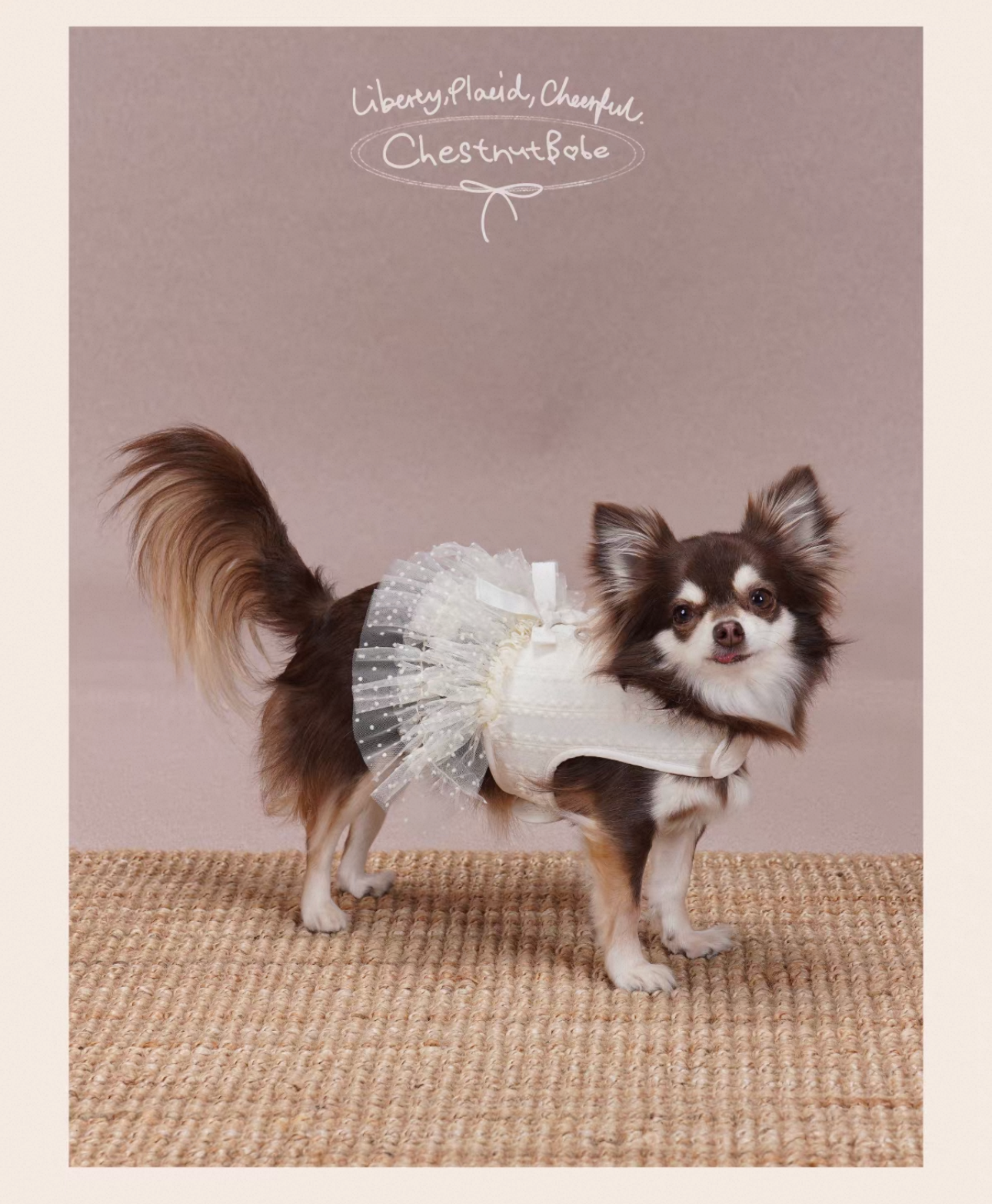 Odette Tutu Cooling Dress