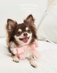 Bow Bib Bandanas