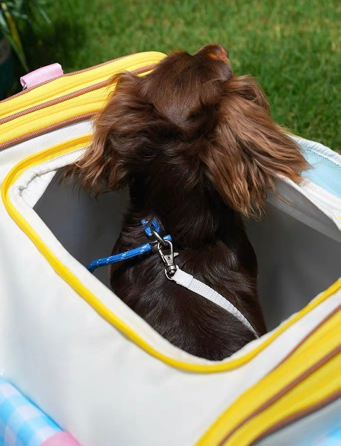 Candy Pop Travel Carrier