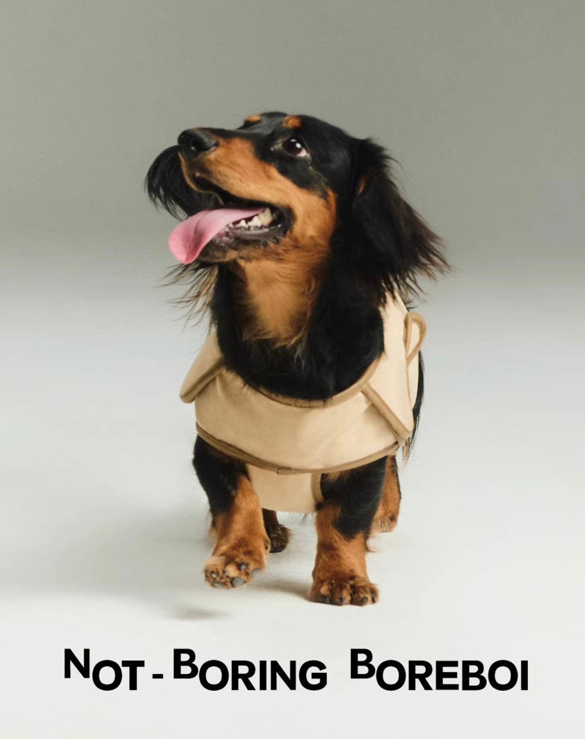 Minimal Suede Classic Pet Jacket