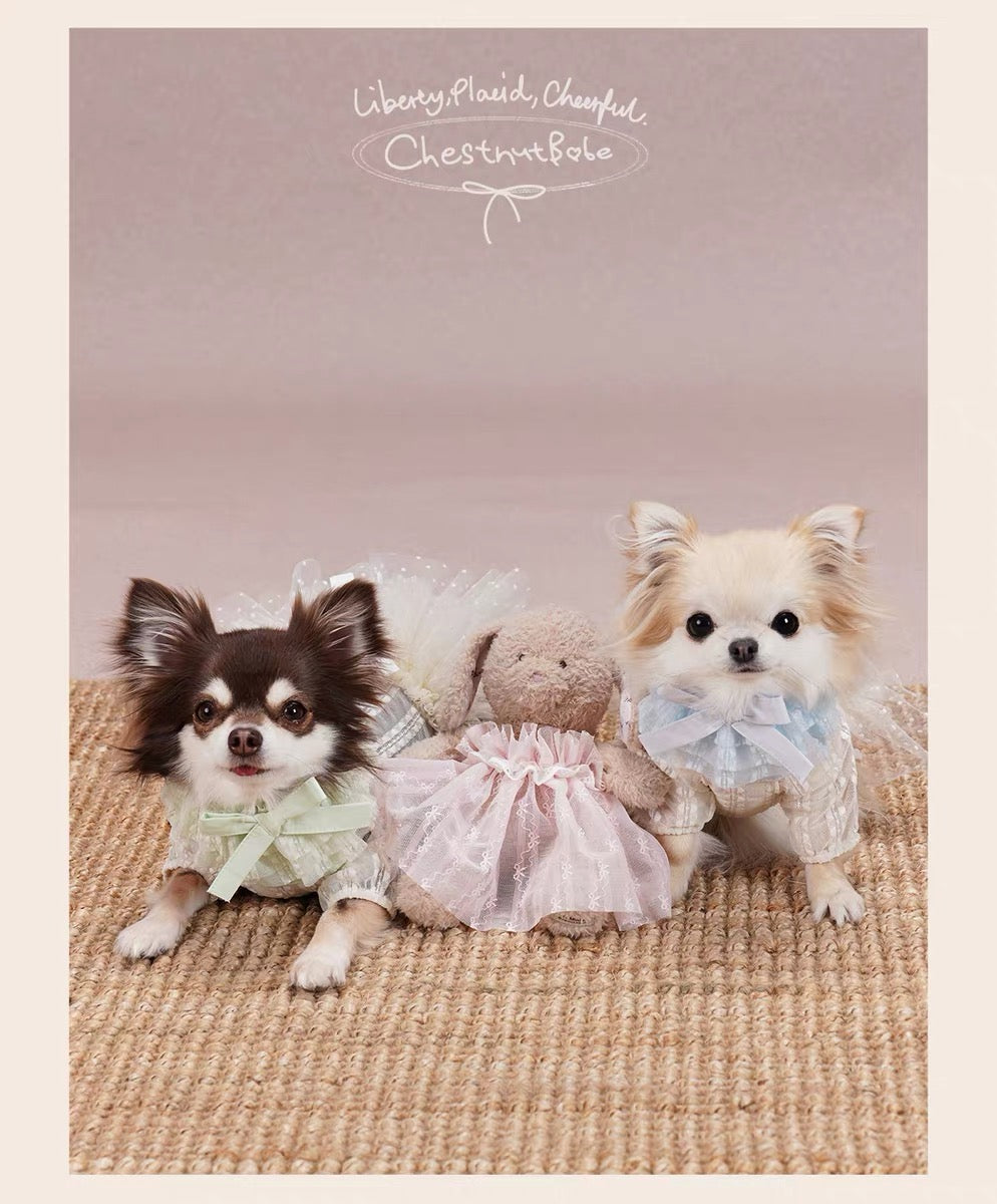 Pirouette Tutu Bandana
