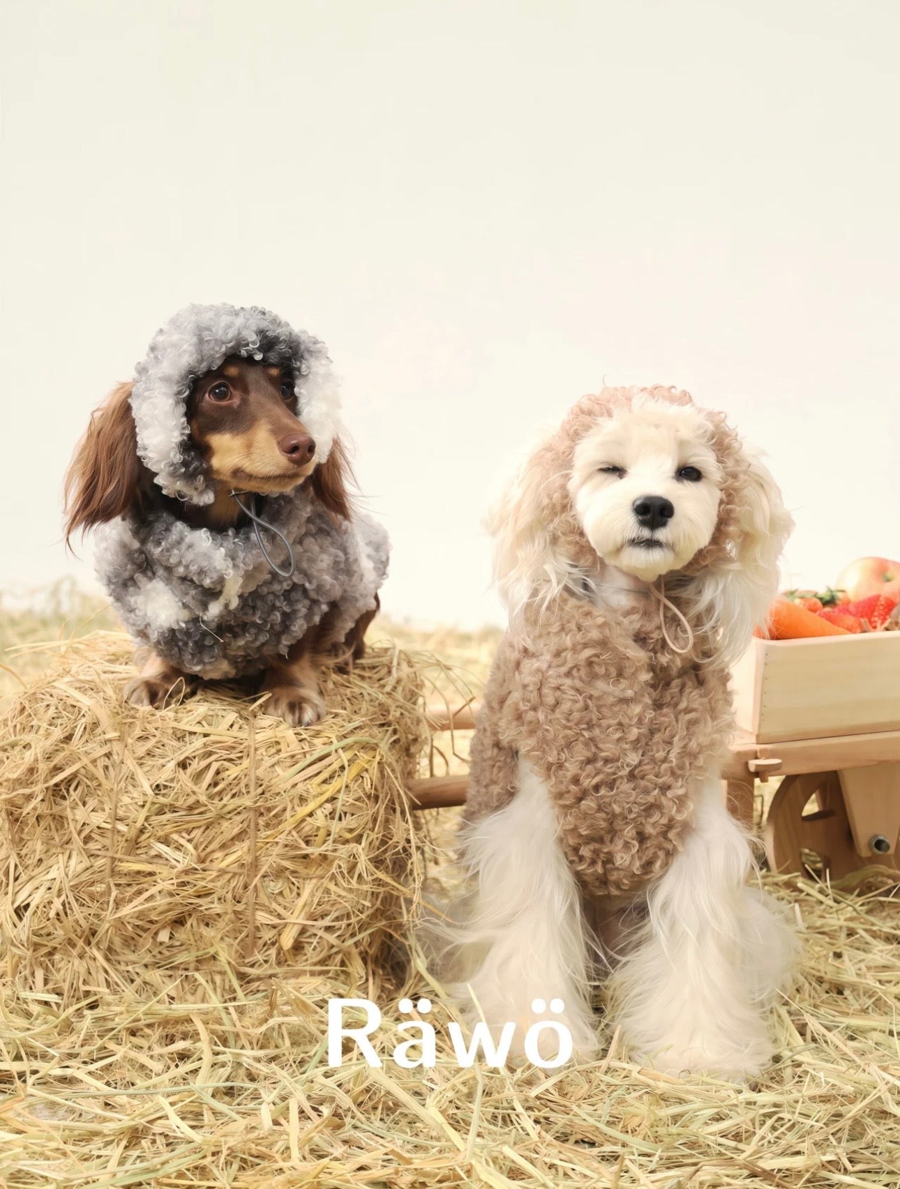 Lovebug Reversible Cozy Ear Hat (includes matching color ear-flap)