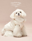 Cream Puff Padded Jacket