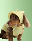 Butter Bunny Cooling Hat