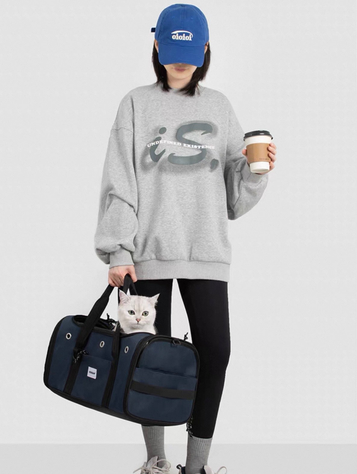 Skyline Pet Carrier