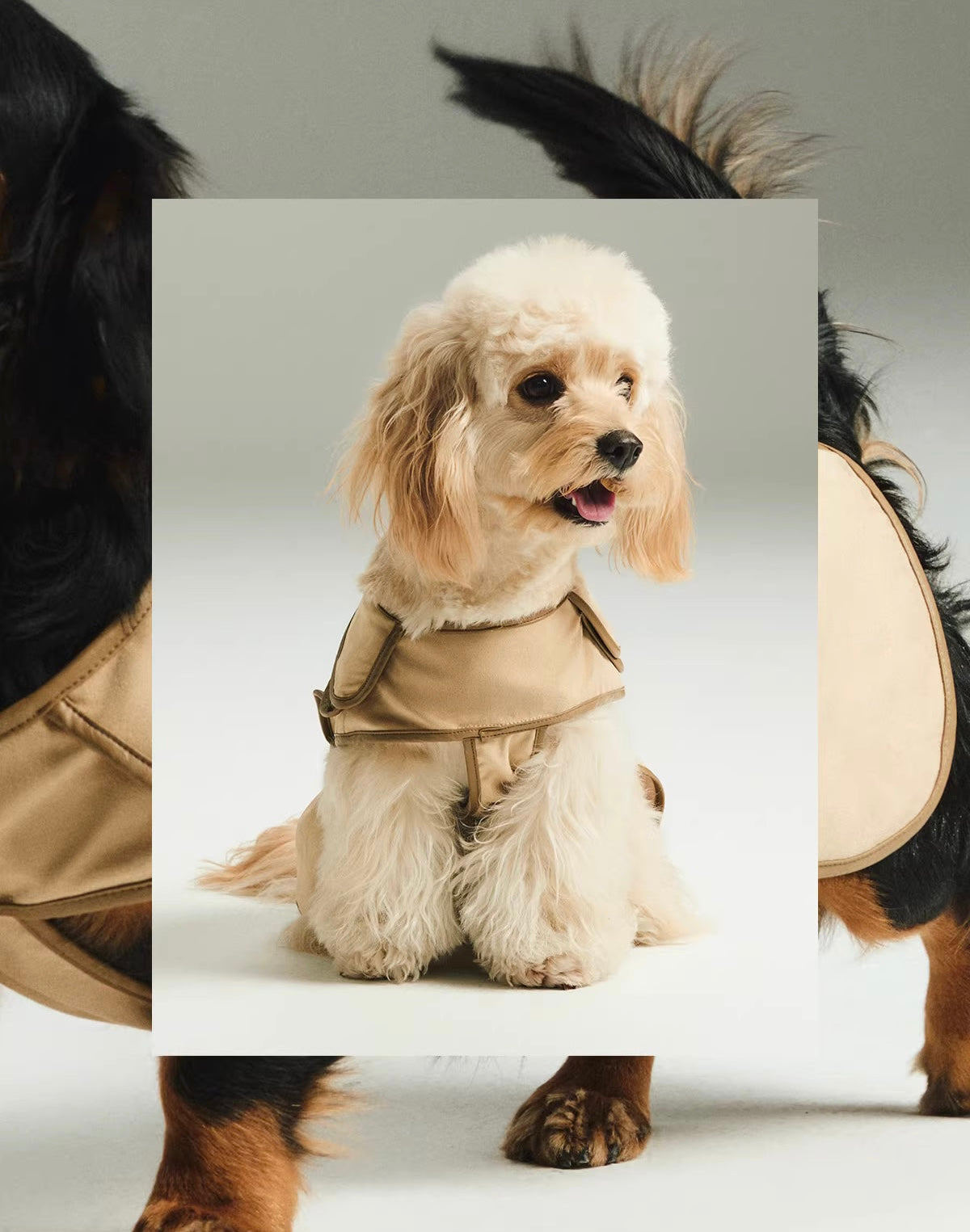 Minimal Suede Classic Pet Jacket