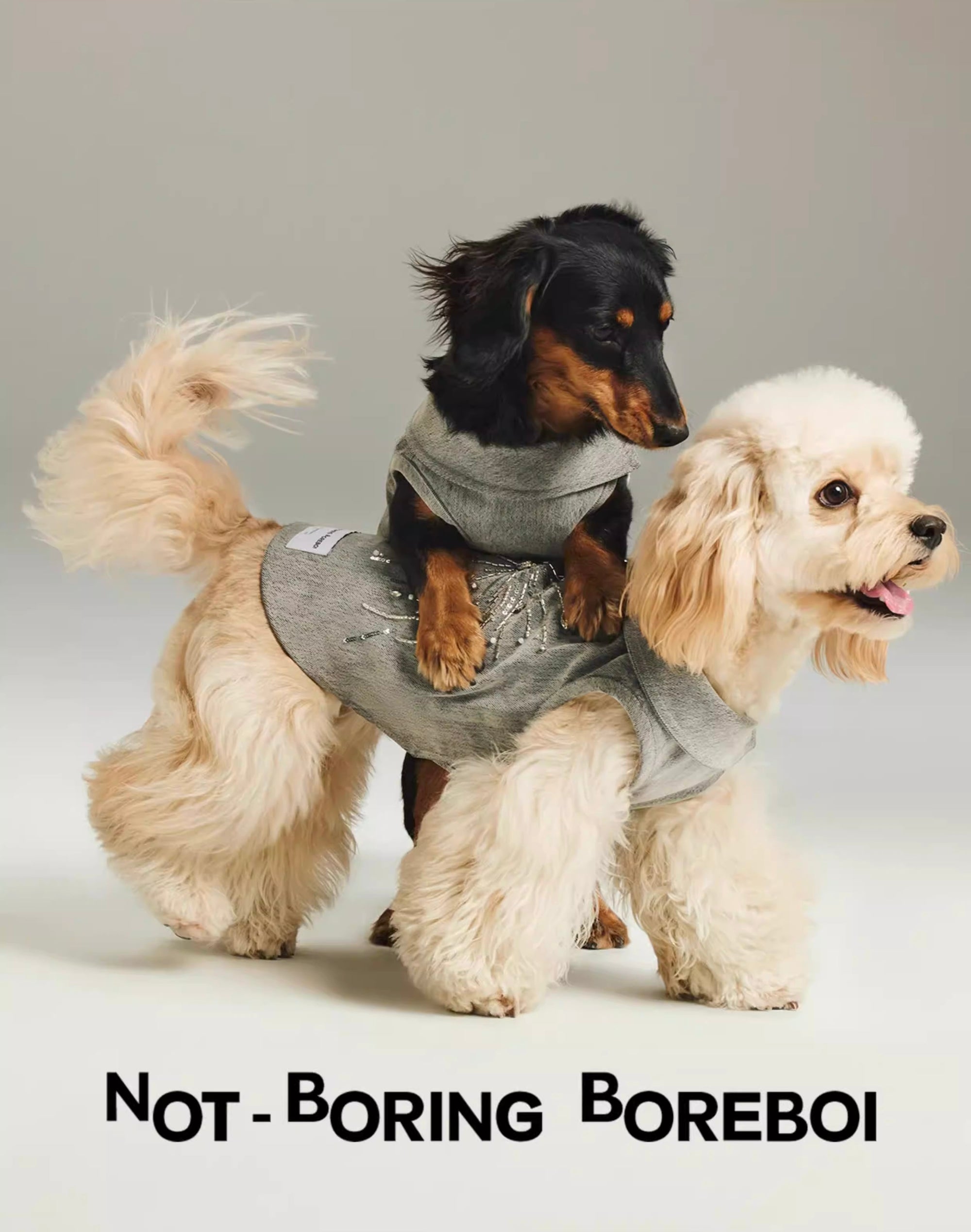 Embroidered Floral Tailored Pet Vest