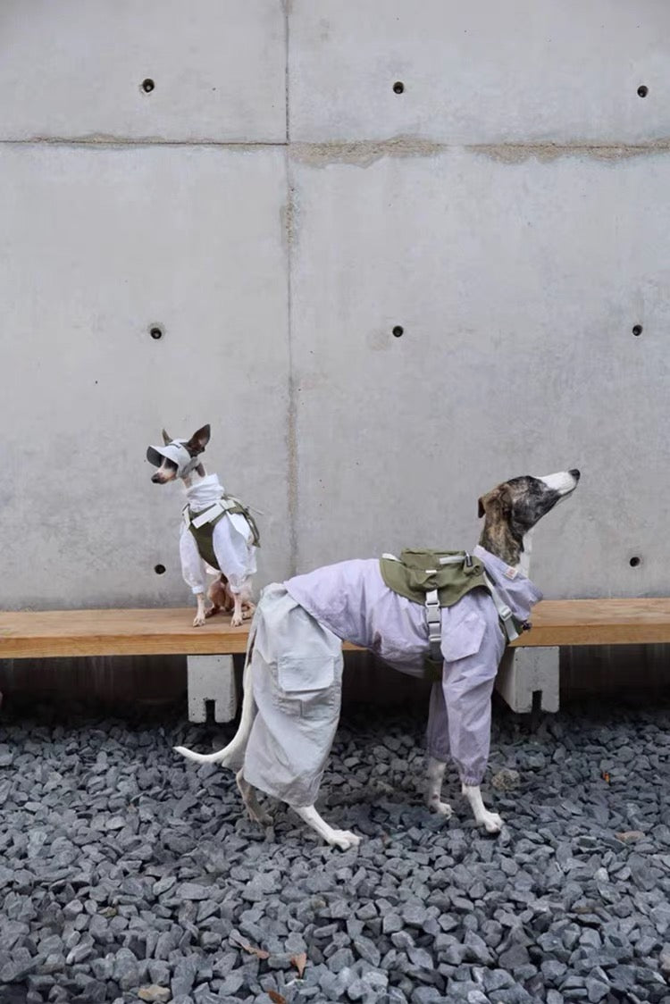 Little Ranger Backpack Harness