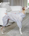 LightShield Waterproof Dog Raincoat
