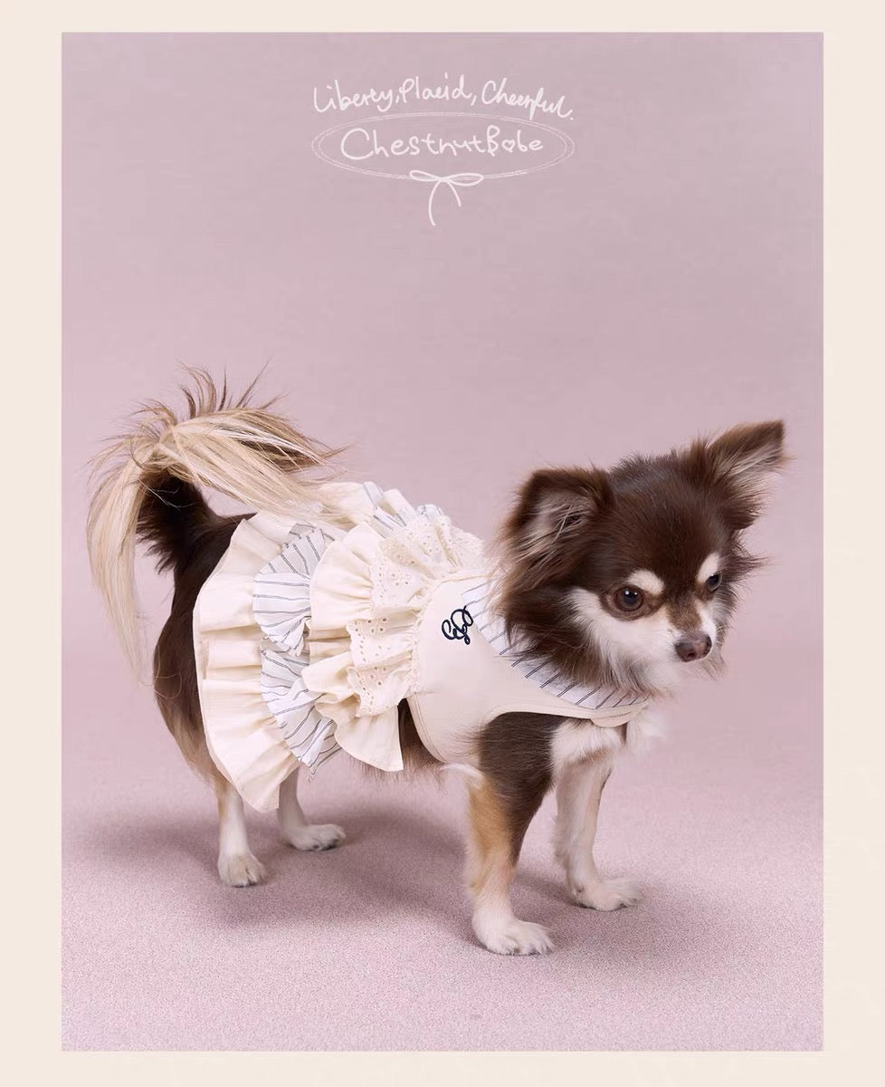 Belmont Club Ruffle Dress