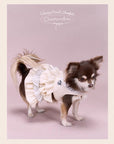 Belmont Club Ruffle Dress