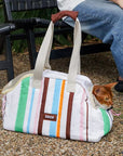 Gelato Stripe Carrier