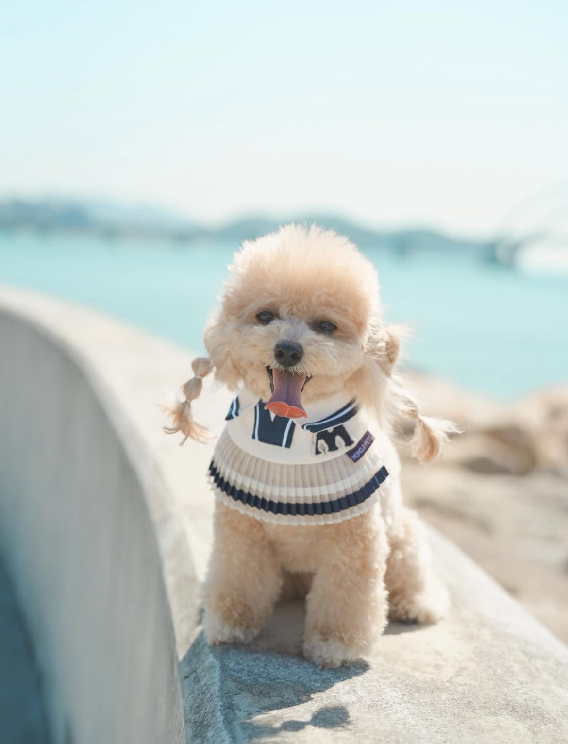 Sharapawva | Pet Bib