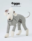 Elegant Whippet Pajamas