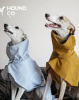 Quickwear Lightweight Raincoat for Dogs