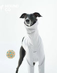 Sighthound Cozy 2-Legged Pullover