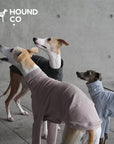 Sighthound Cozy 2-Legged Pullover