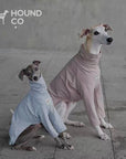 Sighthound Cozy 2-Legged Pullover