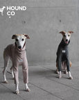 Sighthound Cozy 2-Legged Pullover