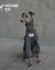 Sighthound Cozy 2-Legged Pullover