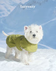 Winter Adventure Parka for Dogs