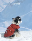 Winter Adventure Parka for Dogs