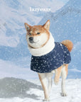 Winter Adventure Parka for Dogs