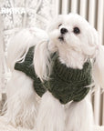 English Retro Pet Sweater