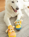 Sneaky Sneakers Chew Toys