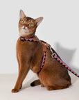 Bobo Series Geometric Harness