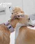 Martingale Collar