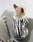 French Bulldog Zebra Print Sweater