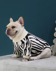 French Bulldog Zebra Print Sweater