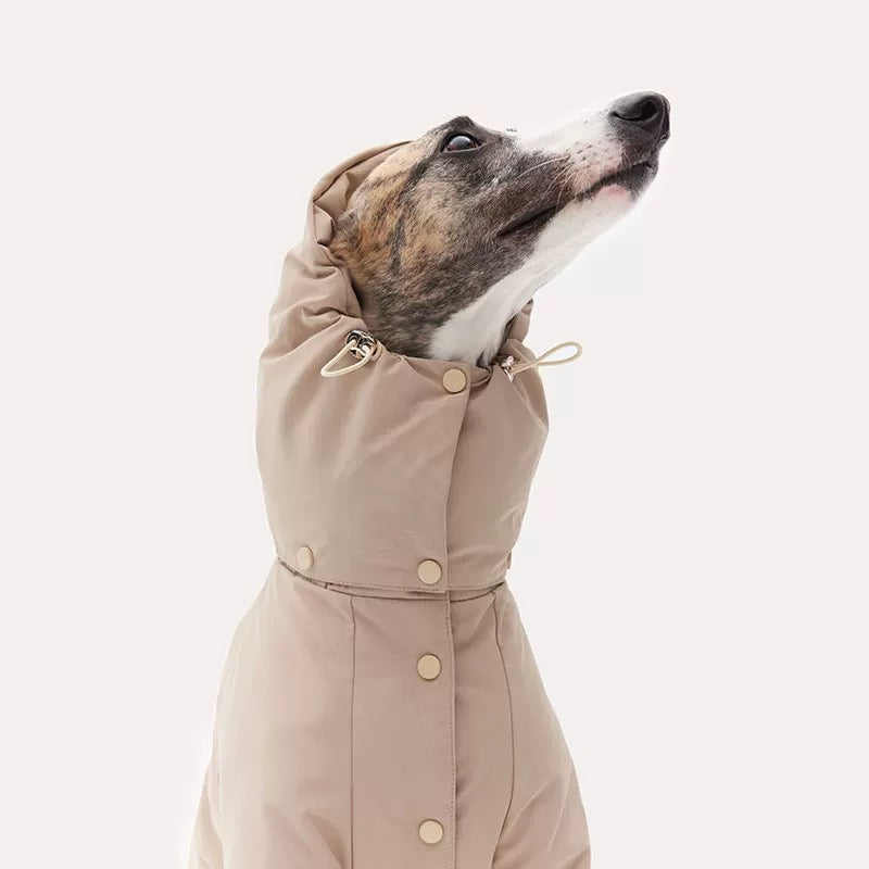 we offer everything to keep your pets happy, healthy, and fashionable. Shop now and show your furry friends how much you care!