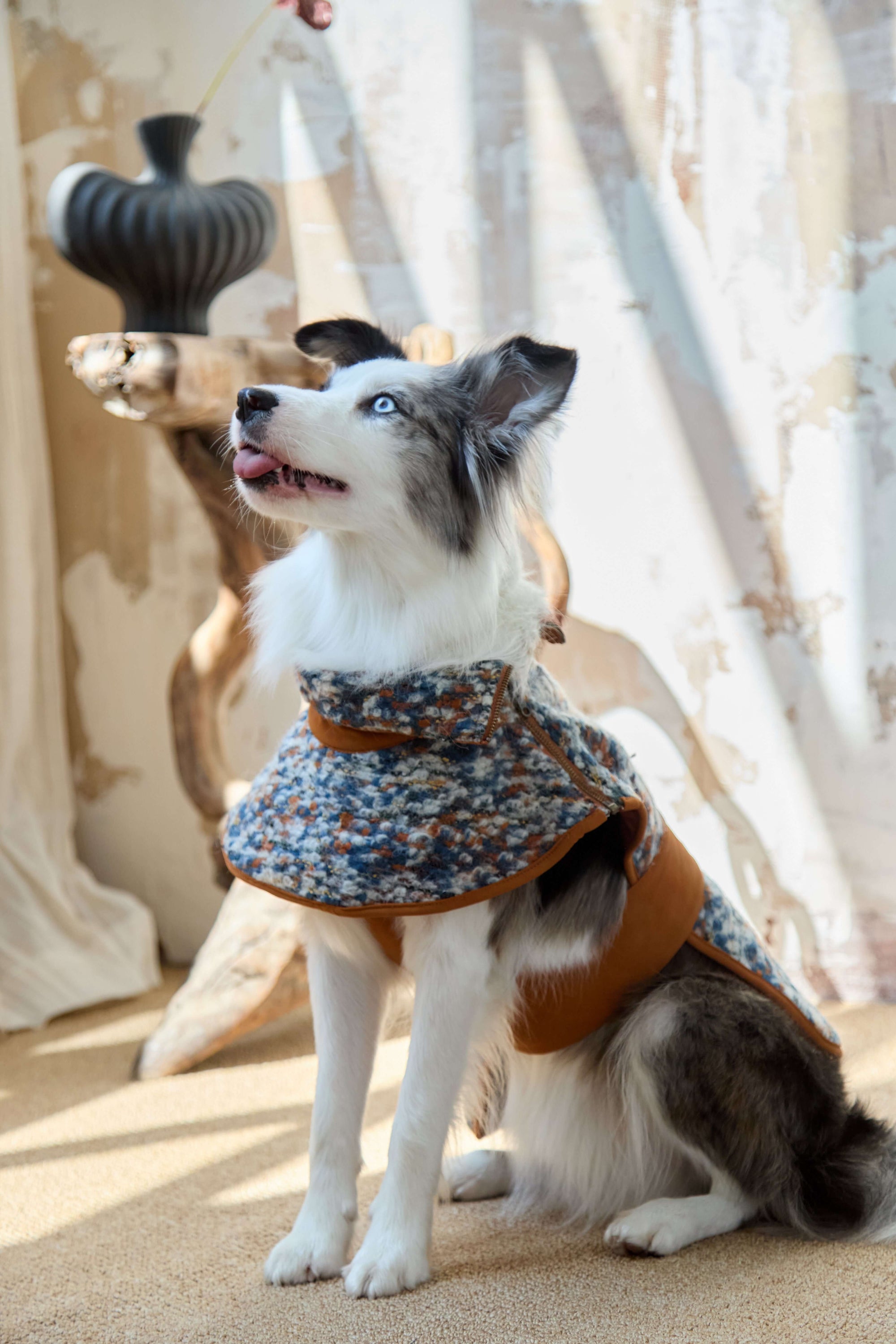 we offer everything to keep your pets happy, healthy, and fashionable. Shop now and show your furry friends how much you care!