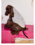Little Artist Pup Vest