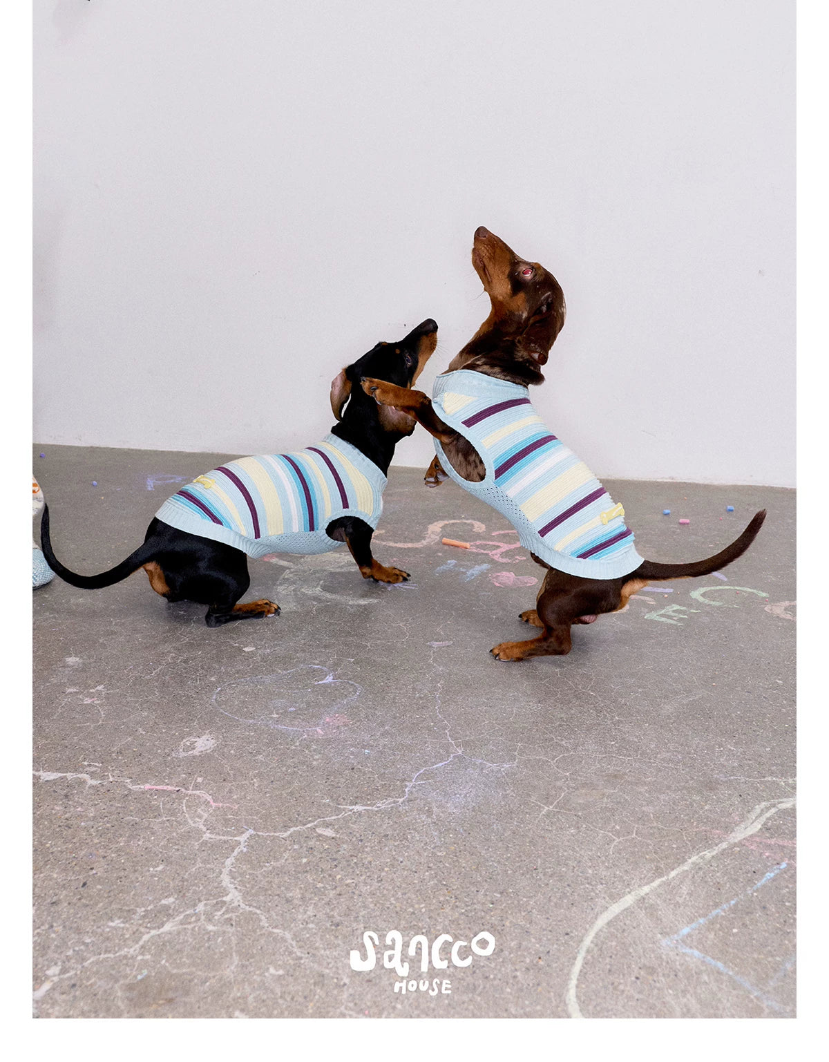 Malibu Sunset Stripe Pet Vest