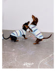 Malibu Sunset Stripe Pet Vest