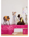 Little Artist Pup Vest