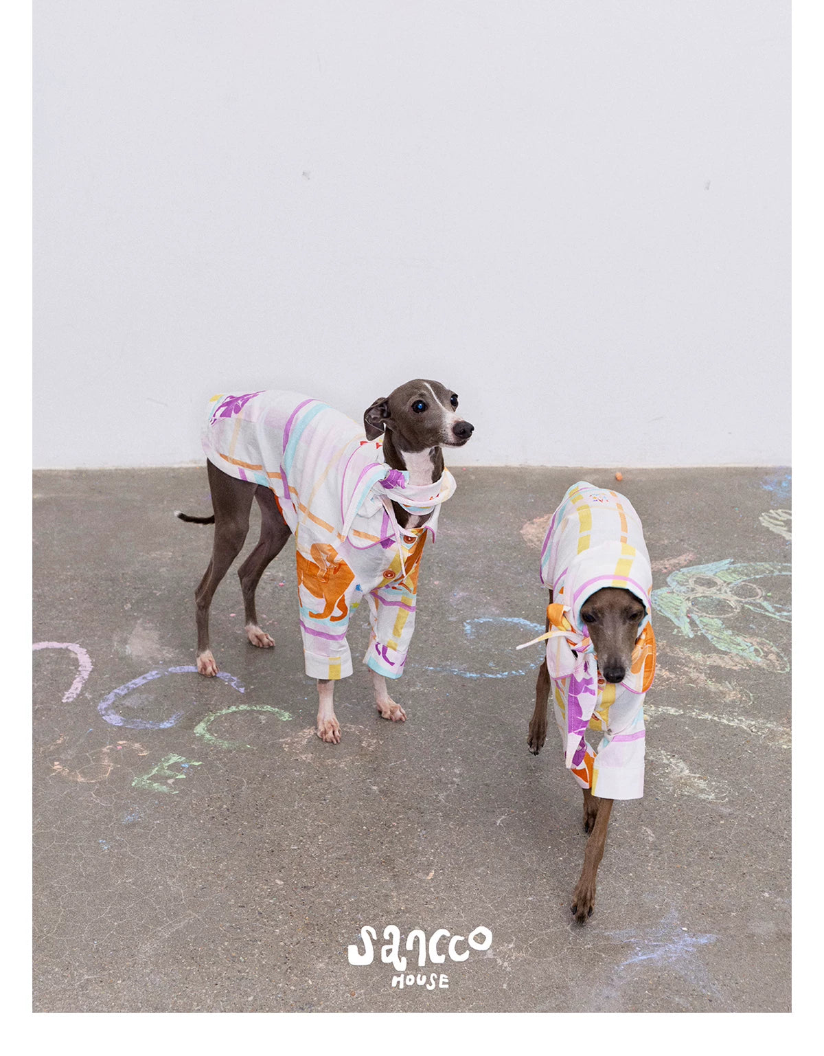Playful Circus Lounge Pet Set