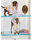Playful Circus Lounge Pet Set