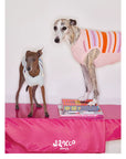 Malibu Sunset Stripe Pet Vest