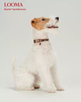 Leather Dog Collar Adjustable Pet Collar with Rhinestone Charm