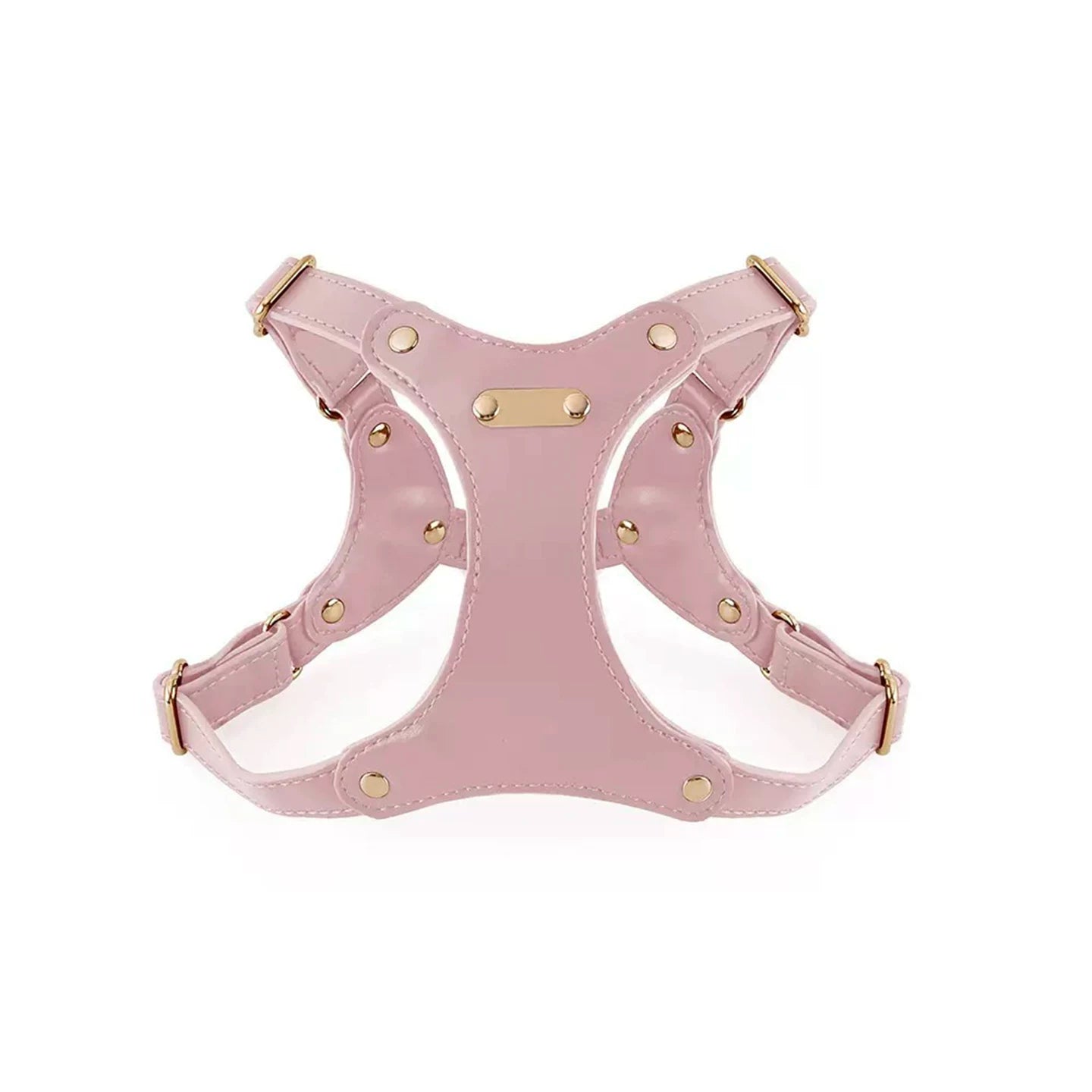 Adjustable Leather Dog Harness and Leash