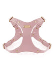 Adjustable Leather Dog Harness and Leash